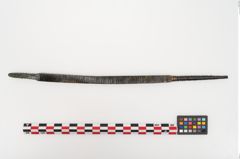 Foto von Bronzeraspel (NHMW-PRAE-025060)